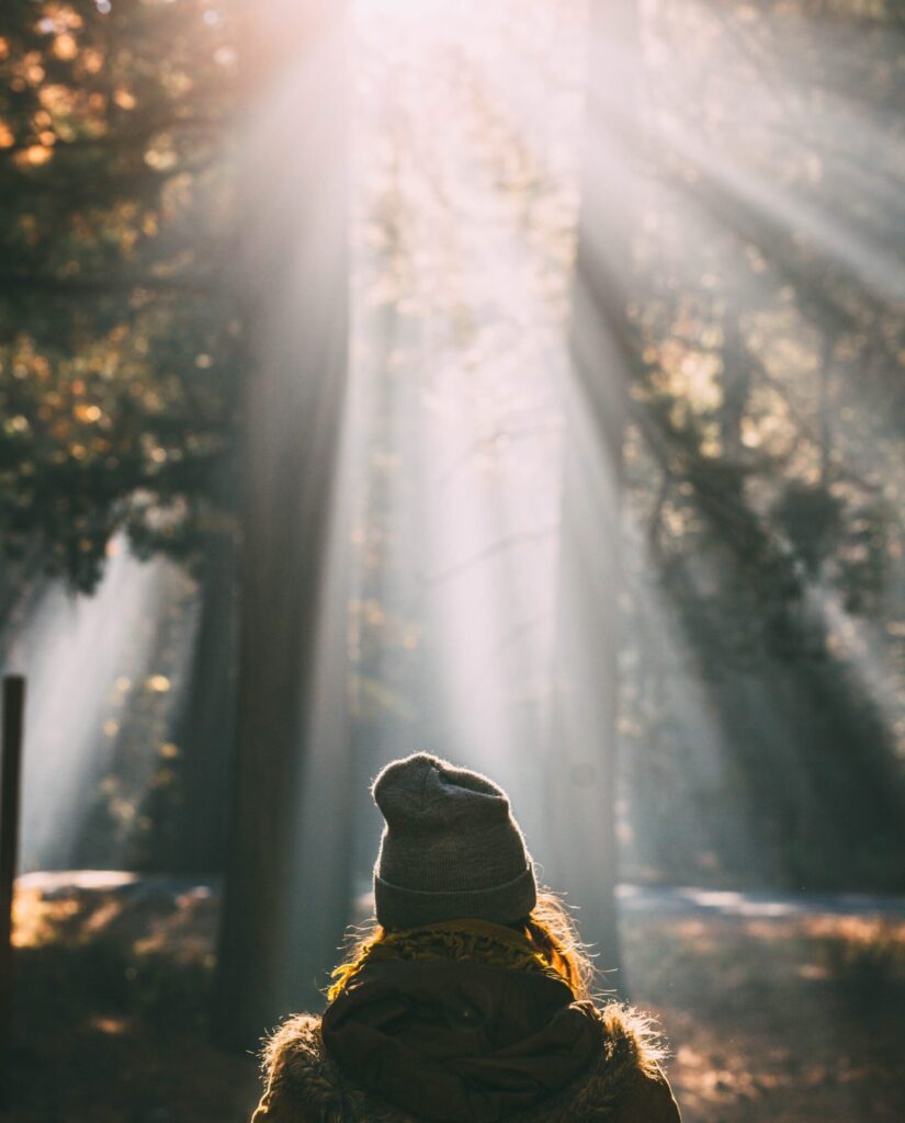 nathan dumlao 6dmx8YnkPGo unsplash scaled e1754940770742 Echos of Joy