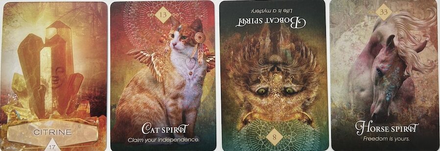 1-25-26 Weekly Earth & Animal Energy Reading