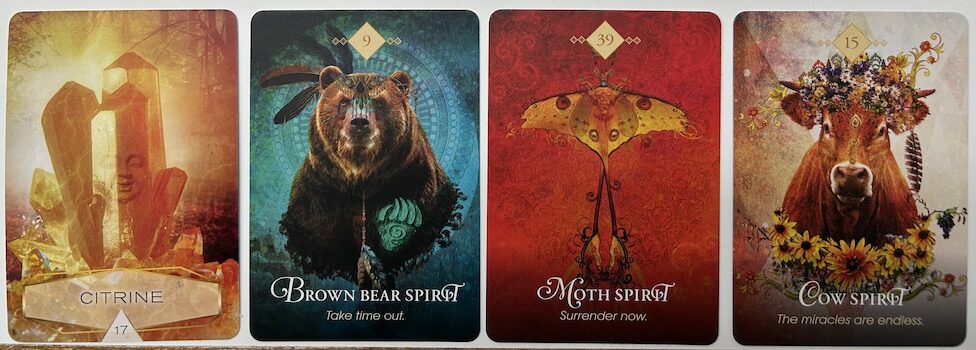 1 4 26 e1767536813635 Echos of Joy