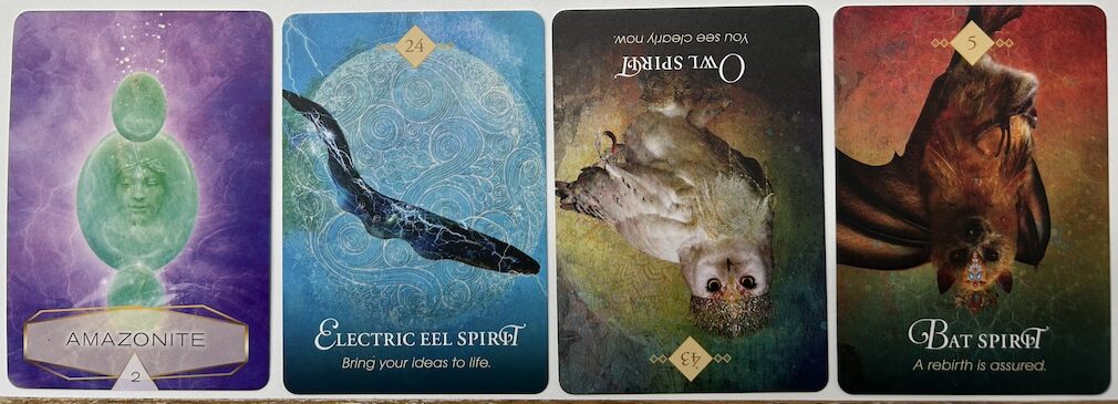 2-1-26 Weekly Earth & Animal Energy Reading