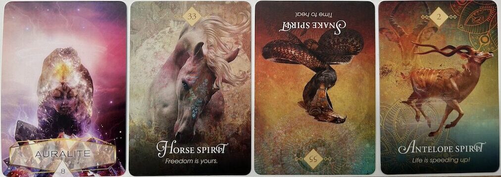 2-15-26 Weekly Earth & Animal Energy Reading