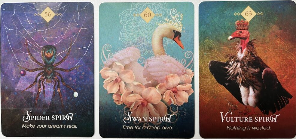 3-15-26 Weekly Animal Energy Reading