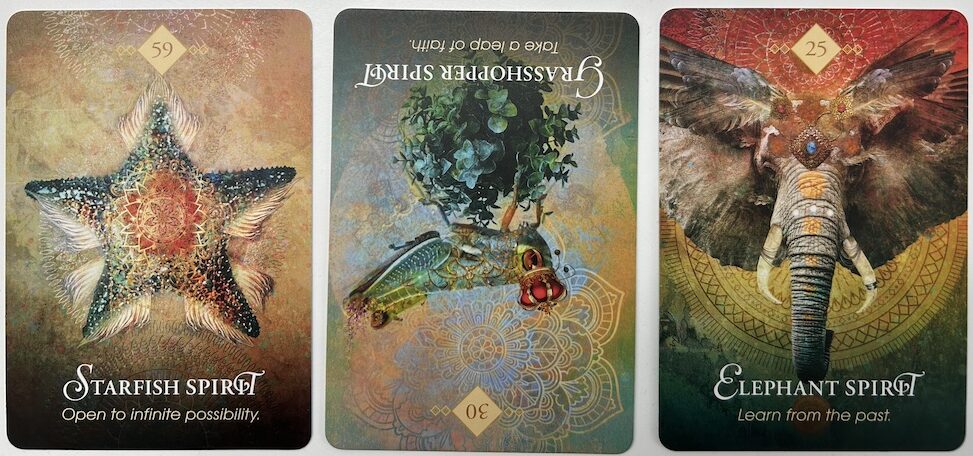 3-8-26 Weekly Animal Energy Reading