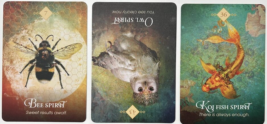 4 19 26r e1776531986261 Echos of Joy