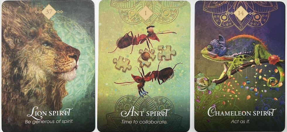 4-26-26 Weekly Animal Energy Reading