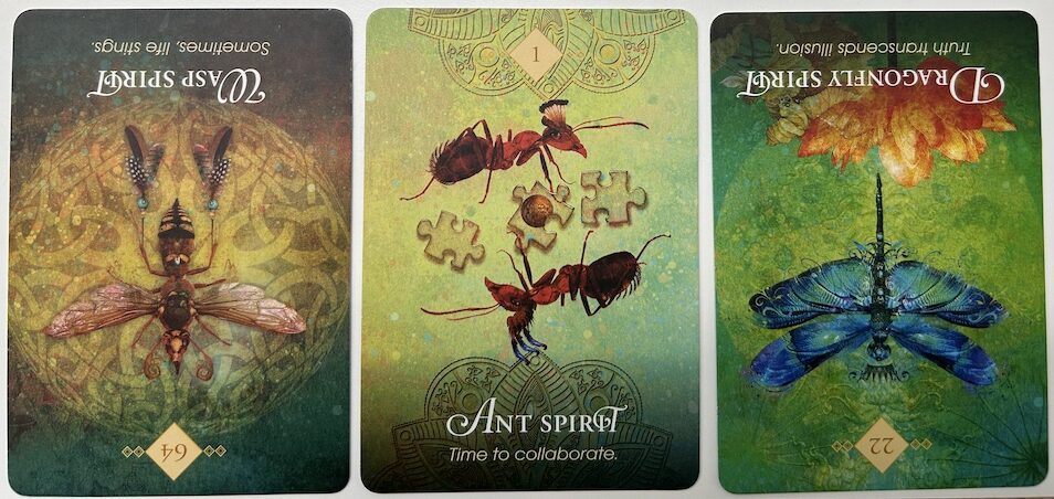 5-31-26 Weekly Animal Energy Reading