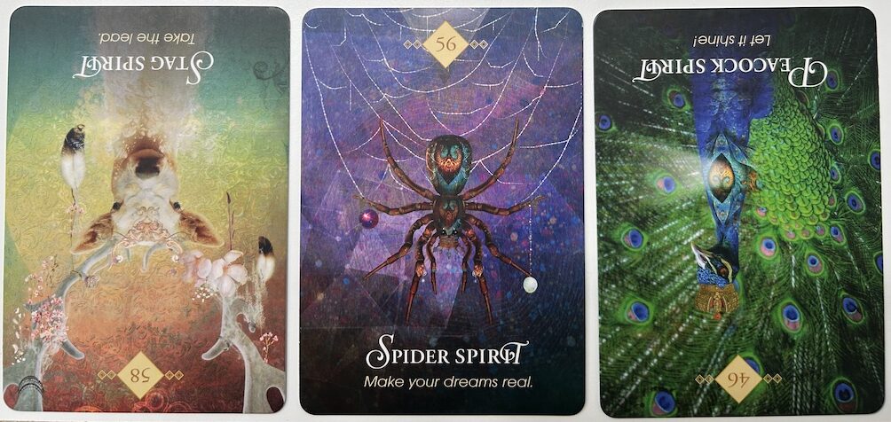 6-21-26 Solstice Animal Energy Reading