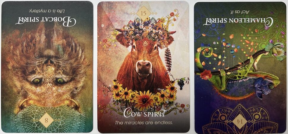 6-28-26 Weekly Animal Energy Reading