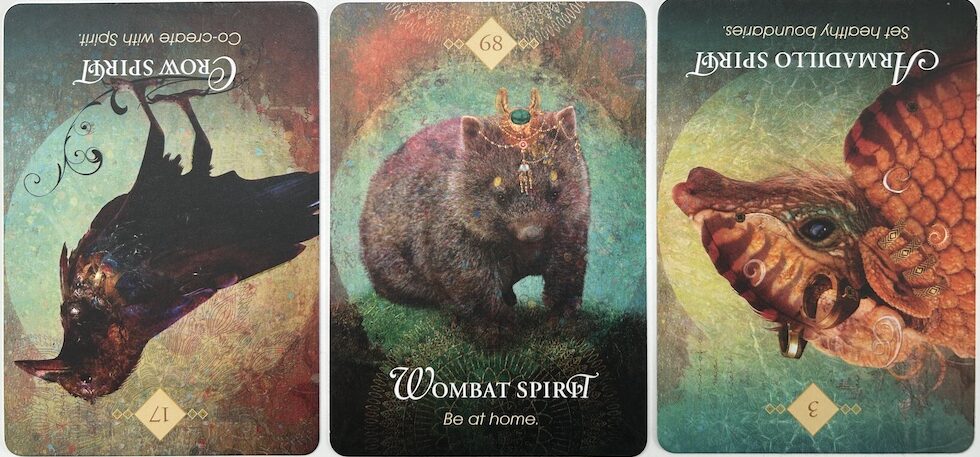 6-7-26 Weekly Animal Energy Reading
