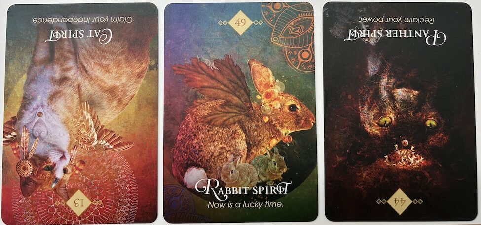 7-5-26 Weekly Animal Energy Reading