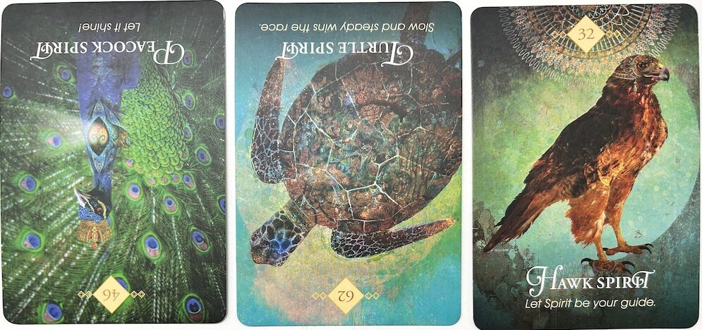 8-23-26 Weekly Animal Energy Reading