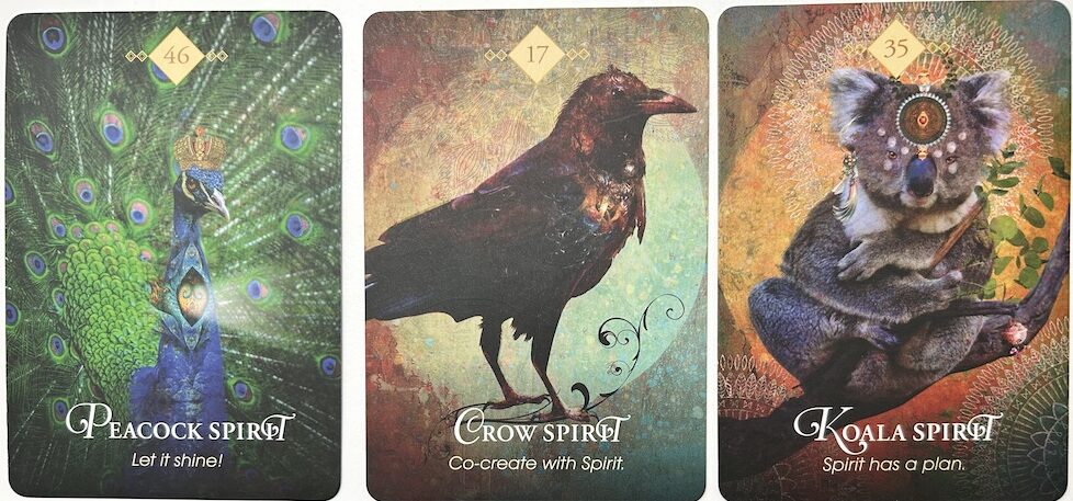 8-30-26 Weekly Animal Energy Reading