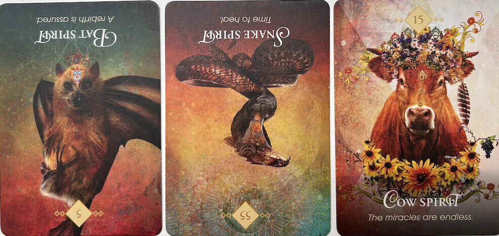 8-9-26 Weekly Animal Energy Reading