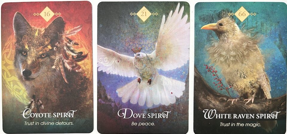 9-13-26 Weekly Animal Energy Reading