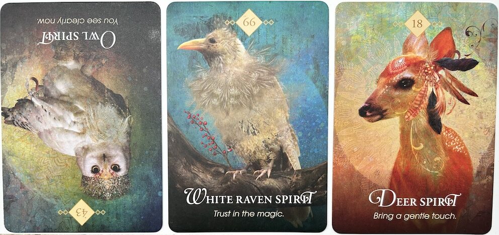 9-20-26 Weekly Animal Energy Reading
