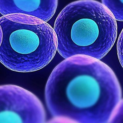 Mind-Body Healing: How Cellular Coherence Supports Natural Healing